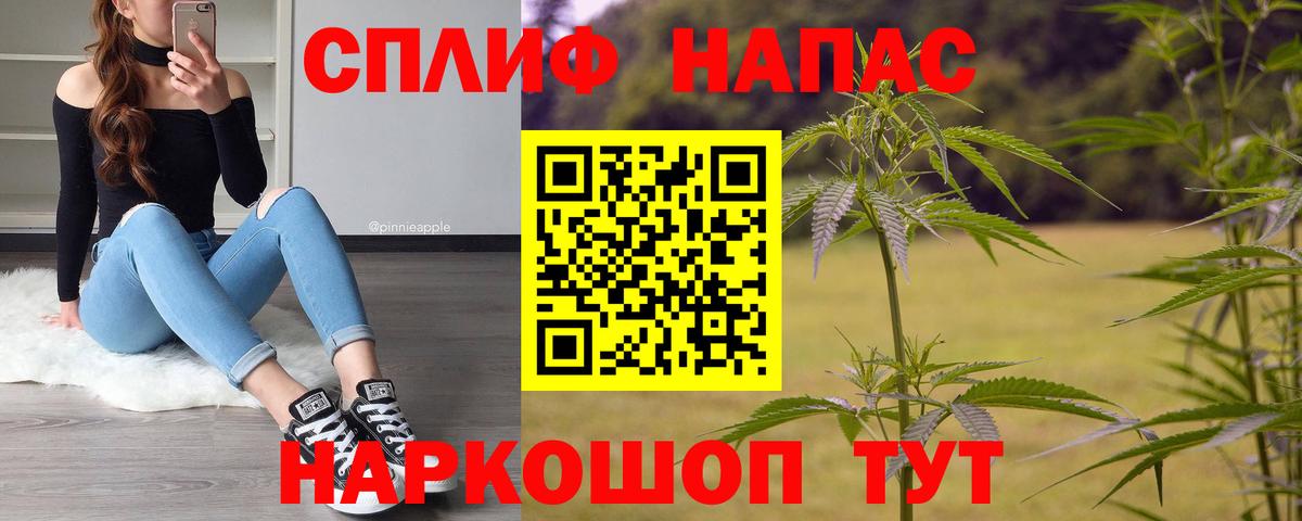 Конопля планчик Черняховск